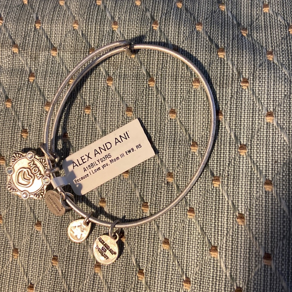Alex and Ani Charm Bracelet